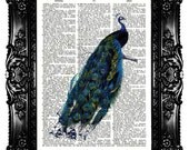 Upcycled Book Dictionary Print Art Prints Vintage Book Print  Vintage Book Page Recycled ELEGANT Peacock Buy 3 get 4th free