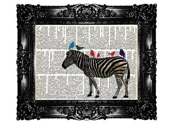 ZEBRA & Colorfull Birds Upcycled Book Dictionary Art Print Art Prints Vintage Book Print Vintage Book Page Recycled Buy 3 get 4th free