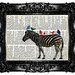 ZEBRA & Colorfull Birds Upcycled Book Dictionary Art Print Art Prints Vintage Book Print Vintage Book Page Recycled Buy 3 get 4th free