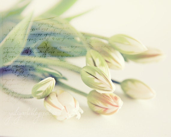 Sunshine Tulips romantic fine art photography print botanical garden glamour wall art spring trend wedding gift bride love flower white mint