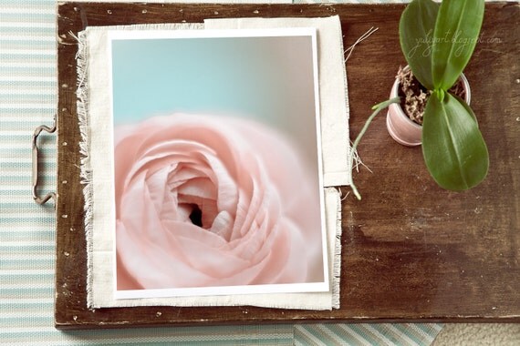 Dreamy flower photo romantic print gift soft pink ranunculus nursery decor glamor mint blue aqua floral botanical garden nature brown retro
