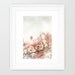 Blooming Magnolia - shabby chic photo print romantic photograph botanical decor flower picture spring blossom bloom soft pink nature