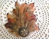 Brown Feather Hair Clip Fascinator