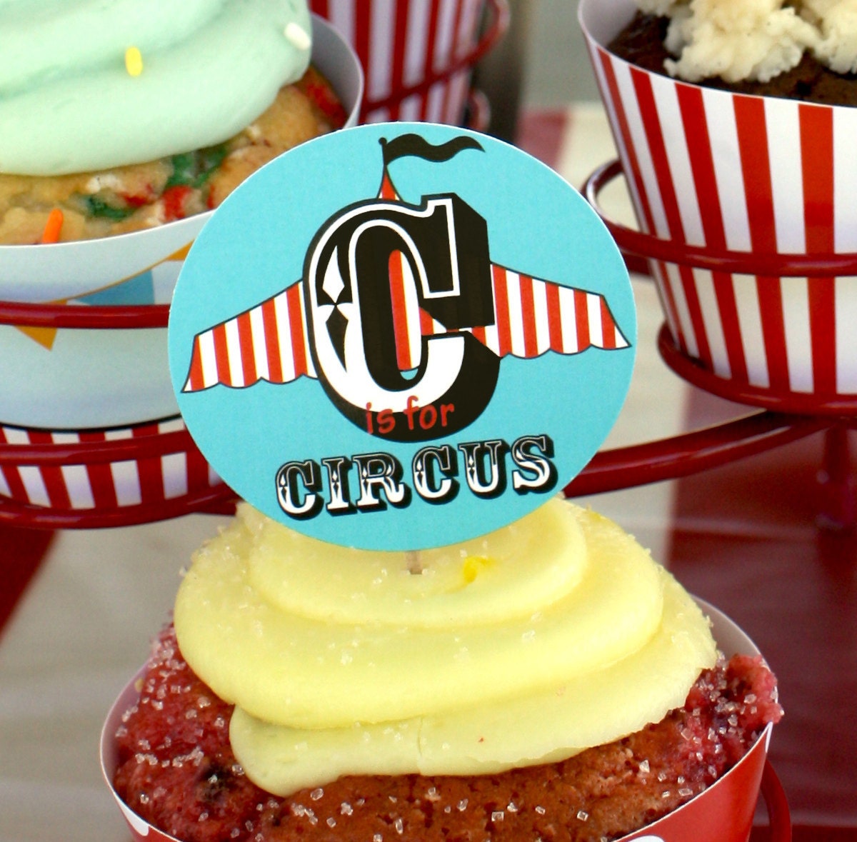 24 Birthday Party Circus/ Carnival Cupcake Toppers