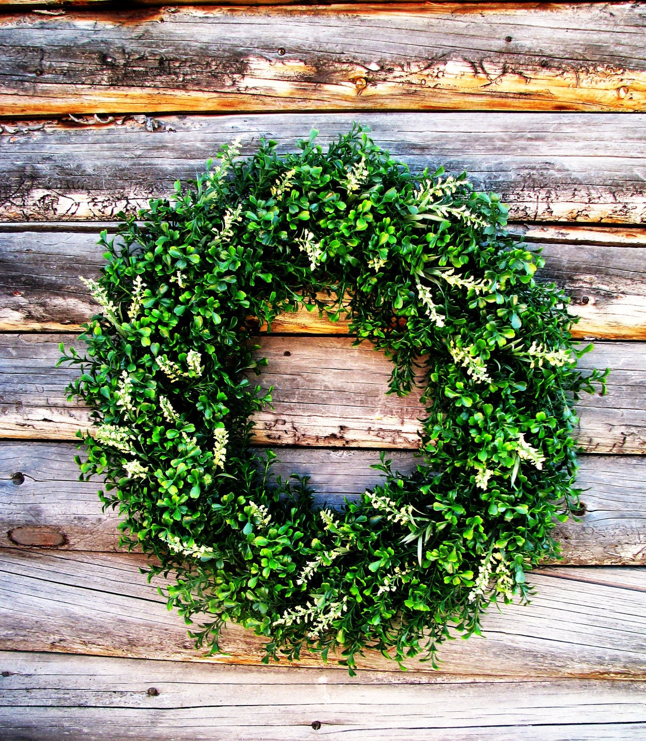RUSTIC BOXWOOD LARGE Door Wreath-Year Round Wreath-Summer Wreath-Fall Wreath-Scented Apple Cinnamon-Choose Scent & Ribbon
