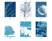 Art Prints- Nature Study- Set Of 6- 5X7 Inches, You Choose colors