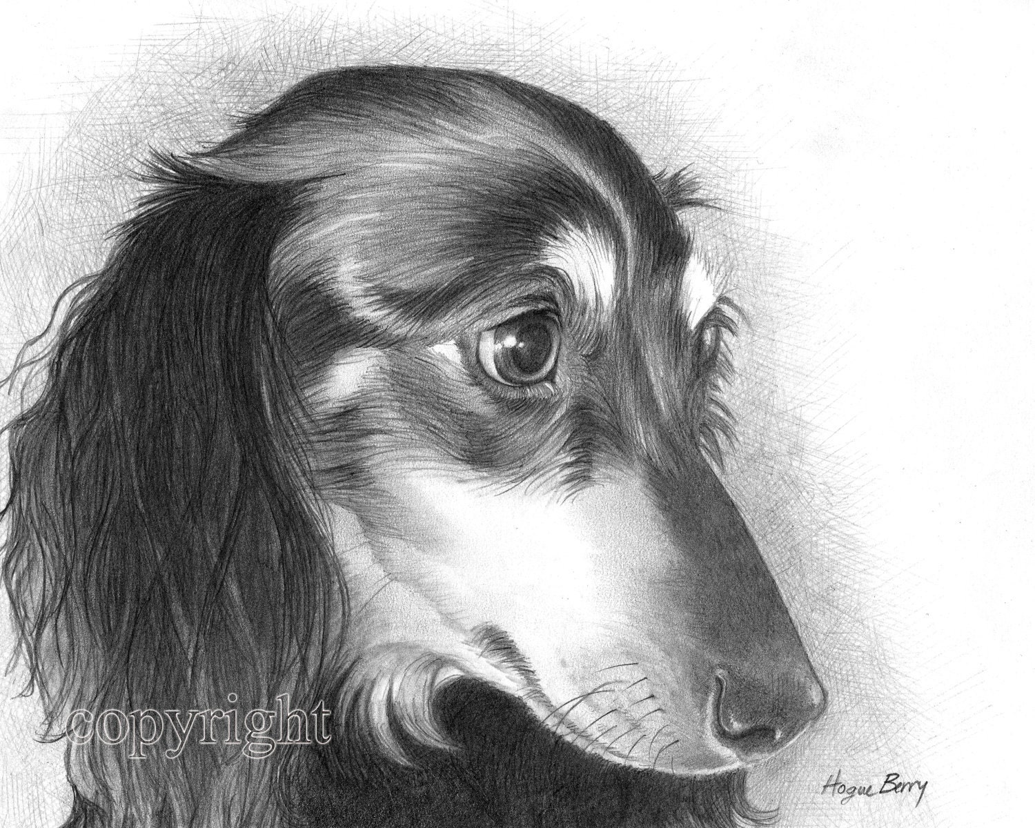 Dachshund, Doxie, Portrait  8x10 Fine Art Print by Wendy Hogue Berry