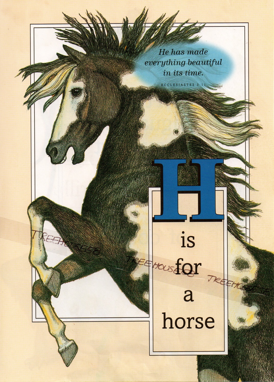 Horse Bible