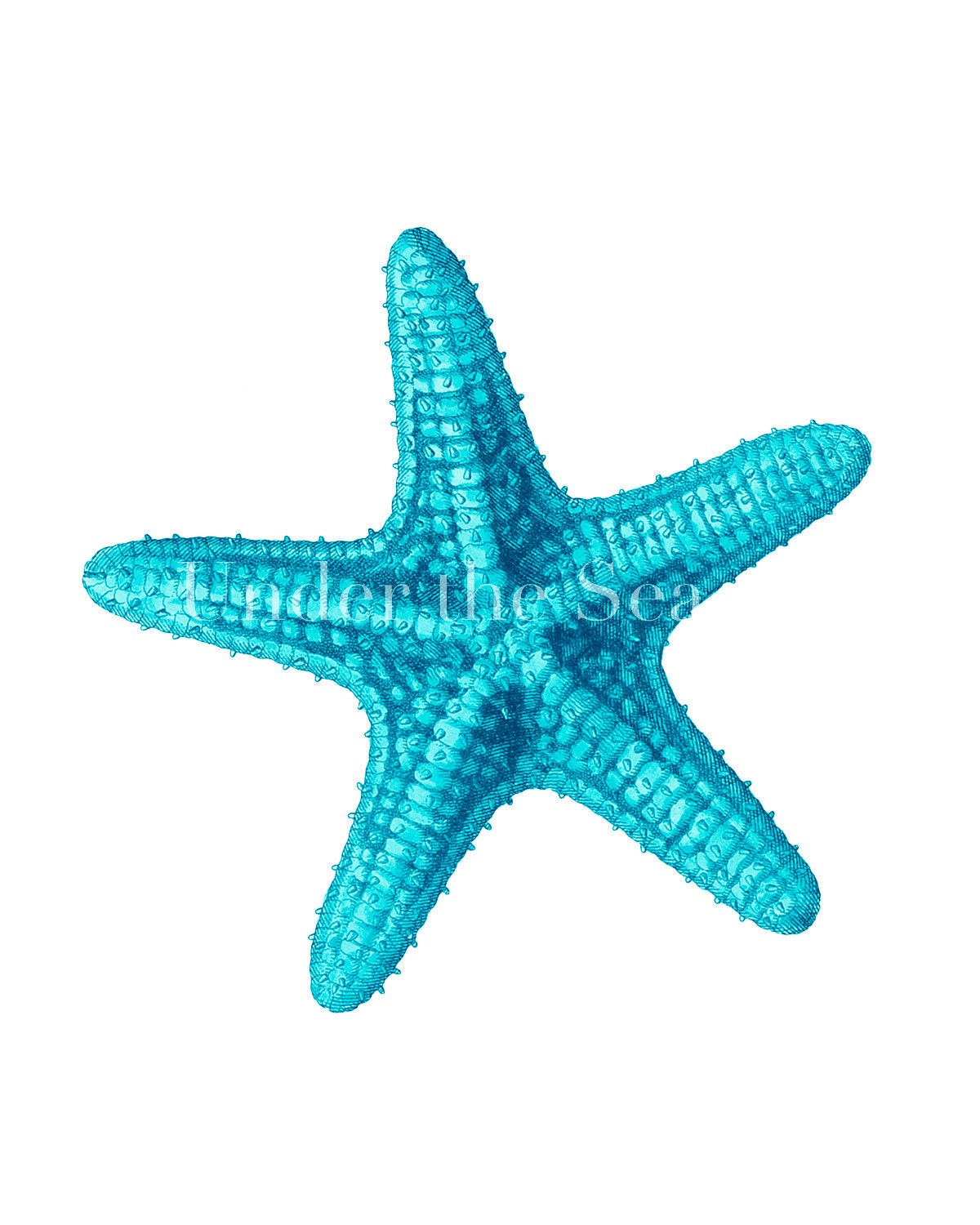 Turquoise Starfish 8x10 Giclee by undertheseaprints on Etsy