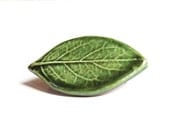 Green leaf ceramic button badge - handmade