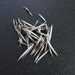 Natural Shed Hedgehog Quills