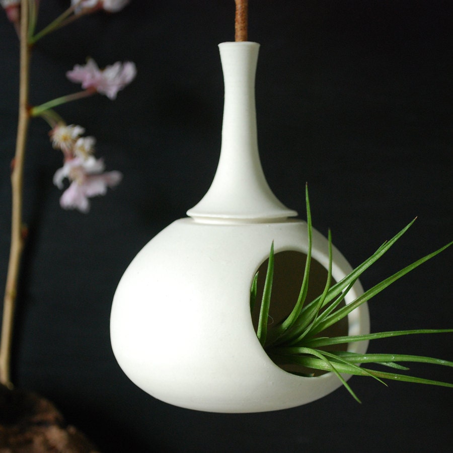 Sweet little teardrop hanging planter