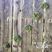 10' Felt Rose Wedding Garland Decoration Decorating Romantic Chic Wedding Cake prop Table Garland  Photo Prop