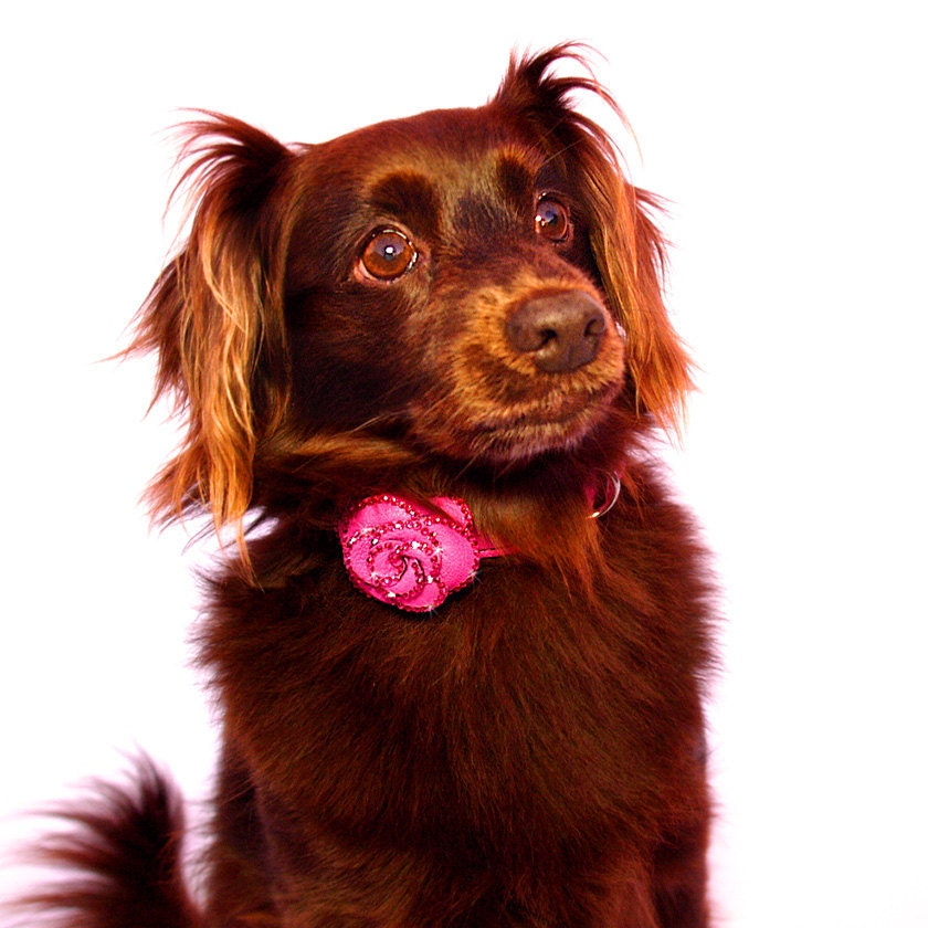LuxeMutt-Pink Rosalicious Swarovski Dog Collar