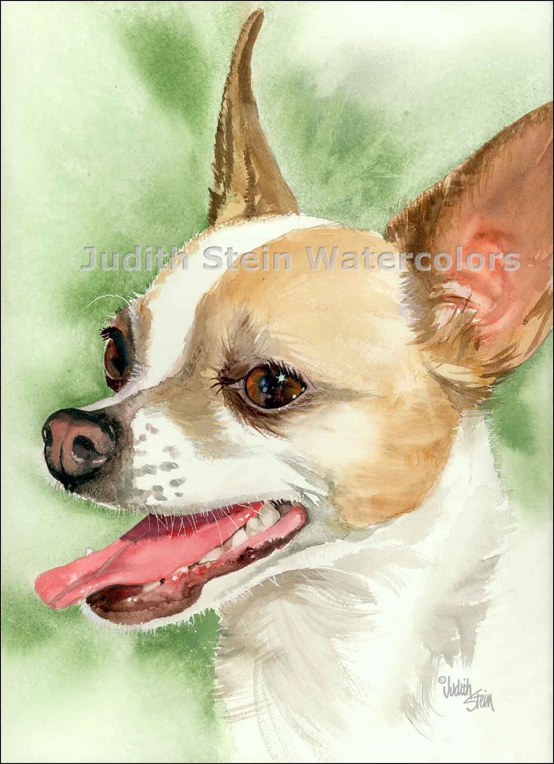 CHIHUAHUA Fawn Chi Toy Dog 11x15 Giclee Watercolor Print