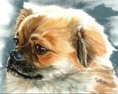 TIBETAN SPANIEL Dog 15x11 Giclee Watercolor Print