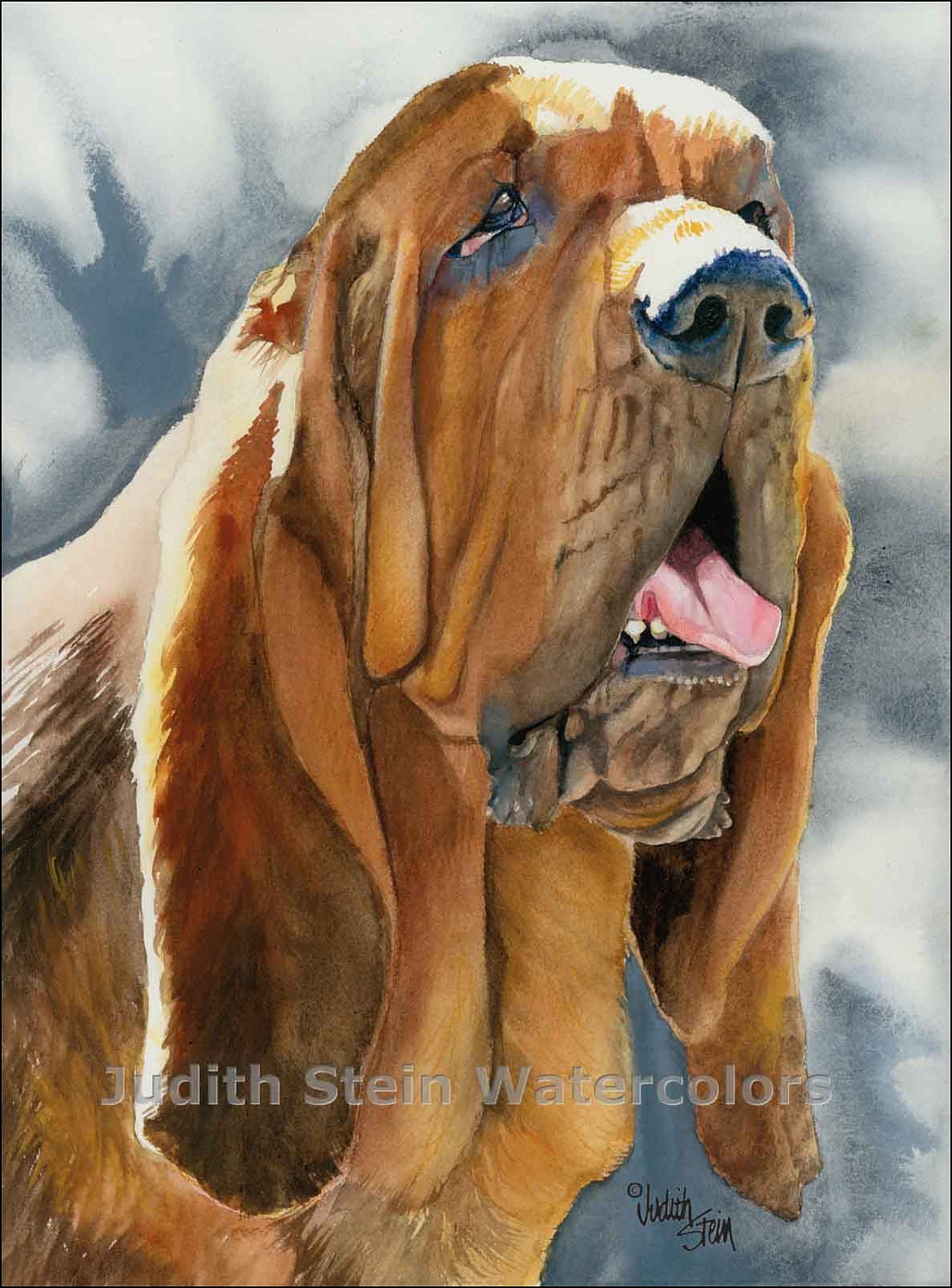 Old Bloodhound