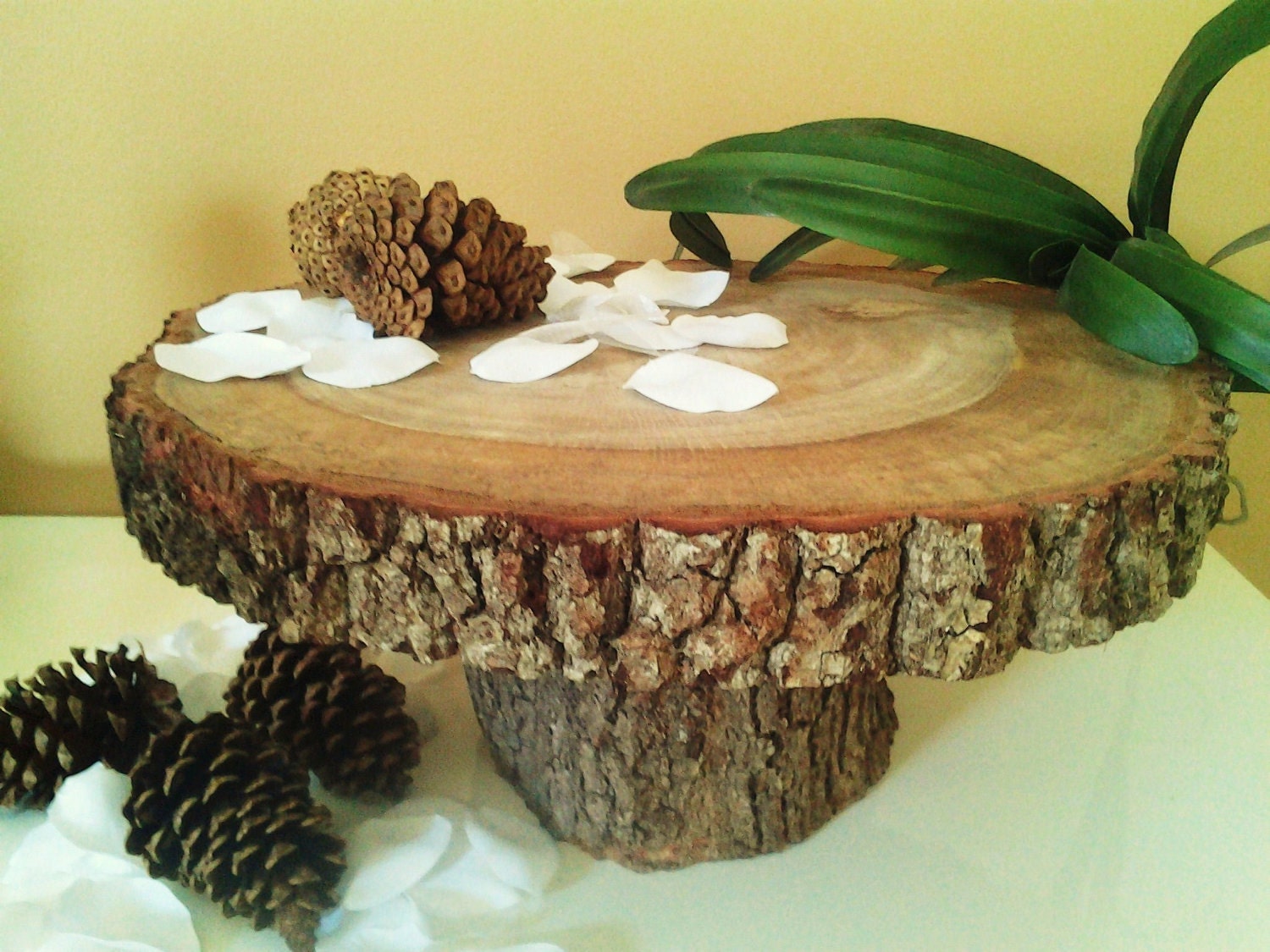 16 x 12 Beautiful Oak tree trunk Cake stand by JTLCREATIONS