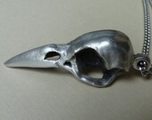 Crow Skull Pendant Necklace in Satin Finish Metal on Stainless Steel Chain