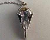 Eagle Skull Pendant Necklace Cast in Pewter and Polished