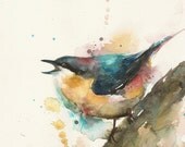 POSTCARD: Eurasian Nuthatch (A6 size)