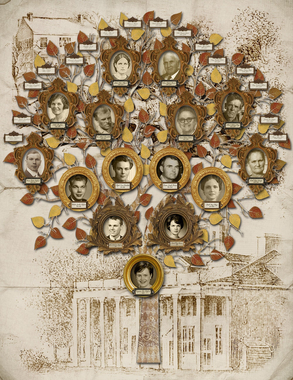 Family Tree Design - Custom  Tree with 15 Photos and 16 Labels - Sketch Background