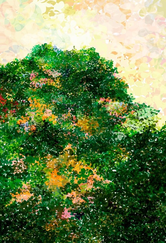 Buy One Get One Print Free - Nature Art Print Poster- Evergreen - 13 x 19 - Open Edition - trees, green, foliage, forests