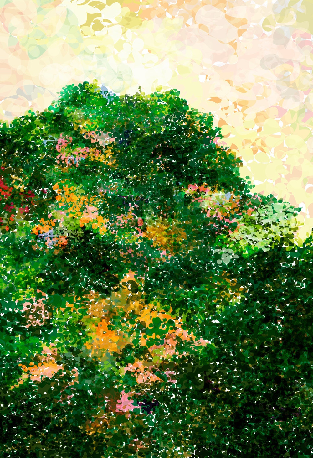 Buy One Get One Print Free - Nature Art Print Poster- Evergreen - 13 x 19 - Open Edition - trees, green, foliage, forests