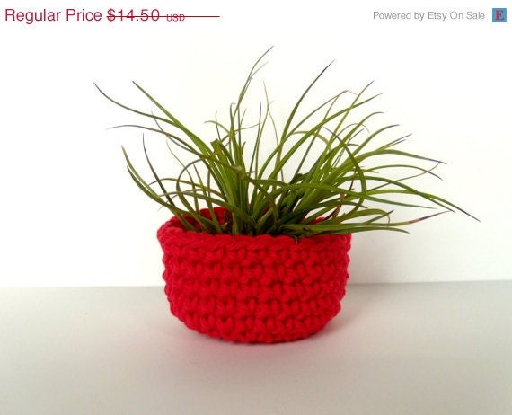 Summer Cottage - Air Plant in Red Bowl