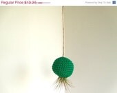 Hanging Air Plant in Kelly Green Pod