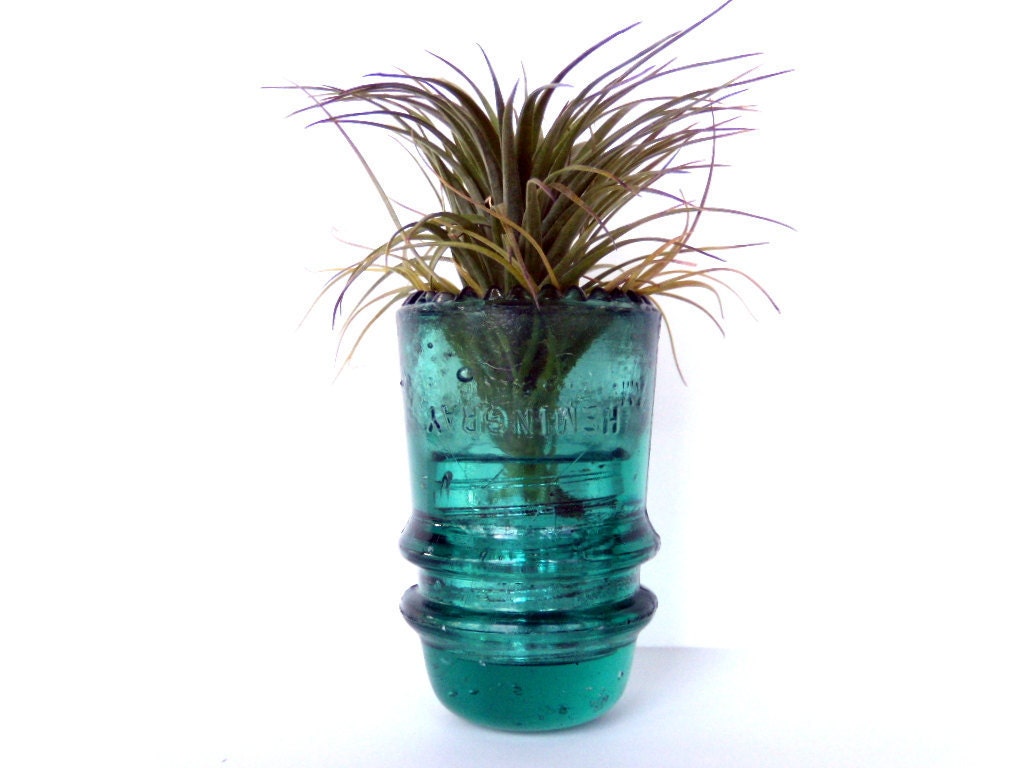Vintage Glass Insulator Housing Air Plant