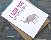 I Like You and That's No Bull Card