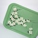 Vintage metal serving tray / jadite green / dogwood blossoms