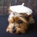 French beret Dog Hat Diva Toy Dog Hat