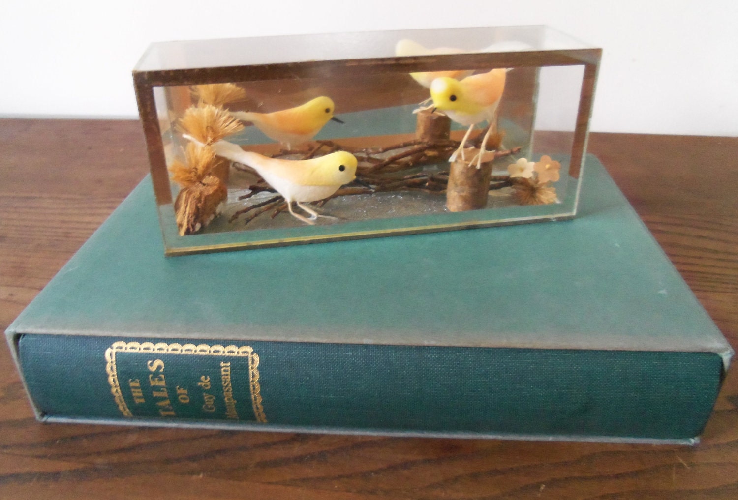 Vintage Japanese Bird Display