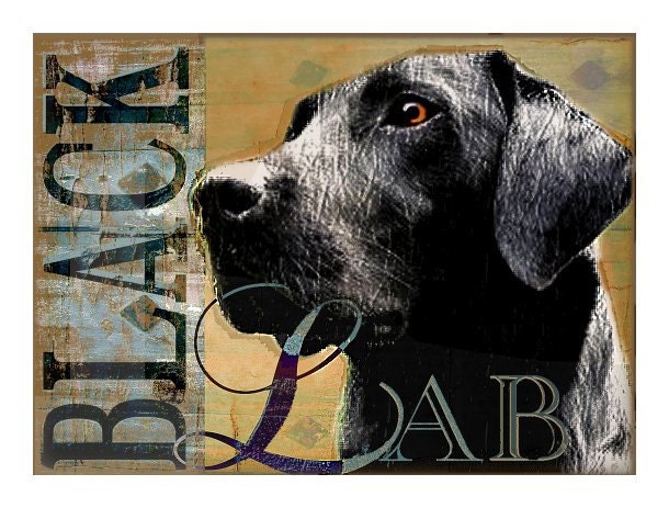 Vintage Look BLACK LAB DOG Portrait Print - Labrador Retriever Poster Wall Art -Aged grunge Look -Signed Wendy Presseisen