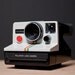 Vintage Polaroid Land Camera