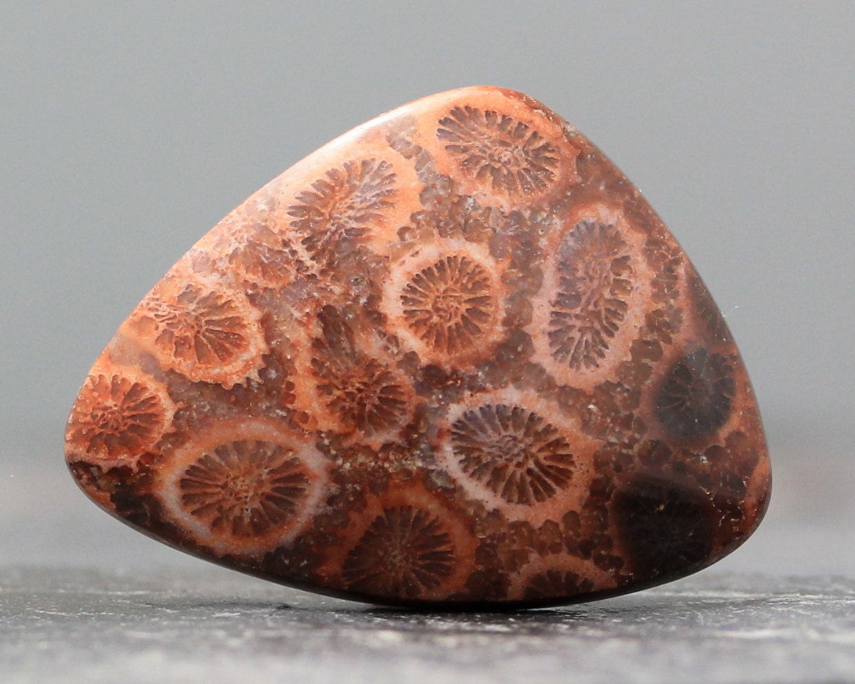 Coral Cabochon