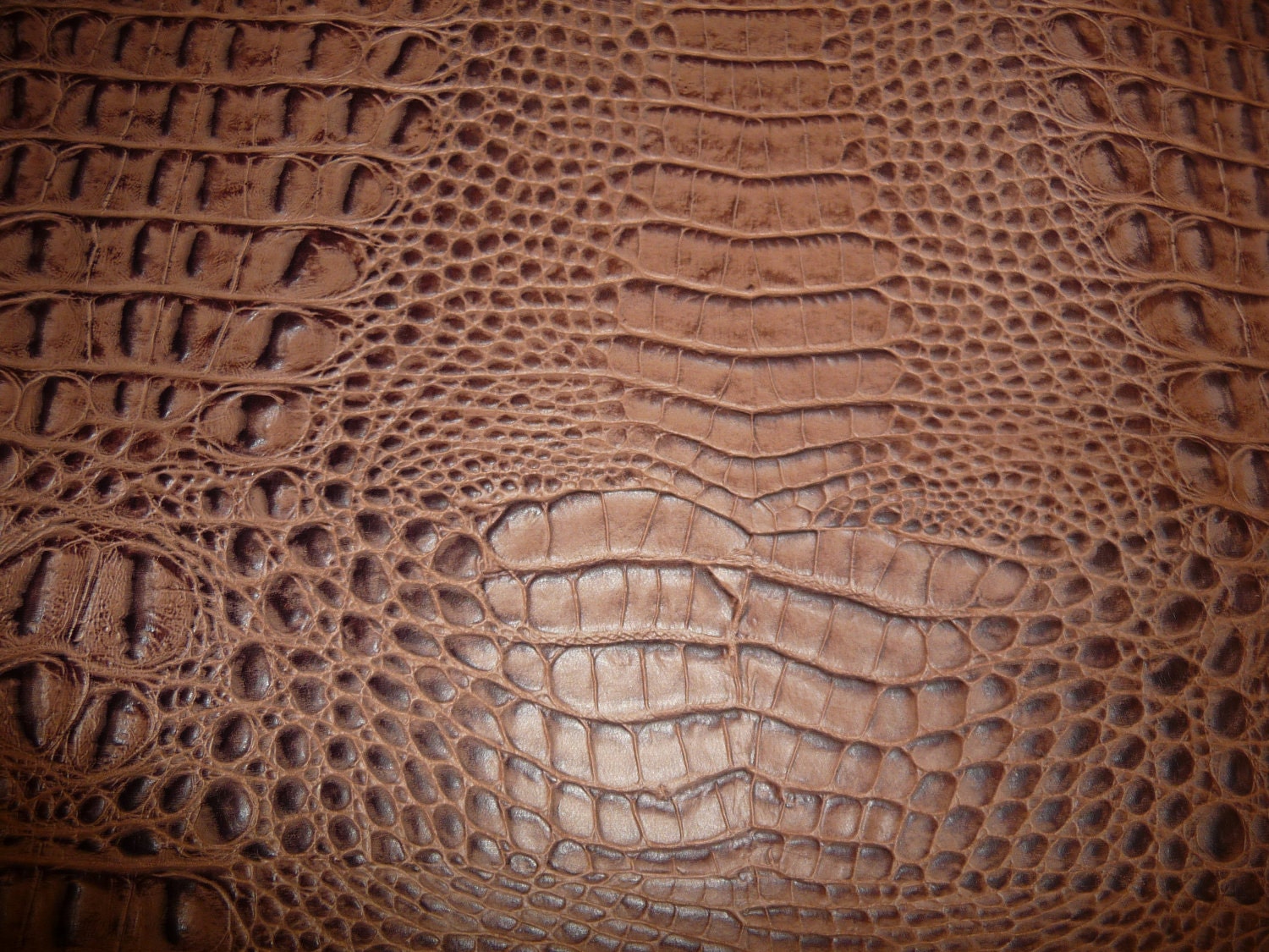 8x10 HORNBACK Cocoa Brown ALLIGATOR Cowhide by PeggySueAlso