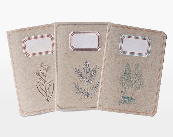 Notebook - lined - Botanic Trio - lot of 3 - BOT6001