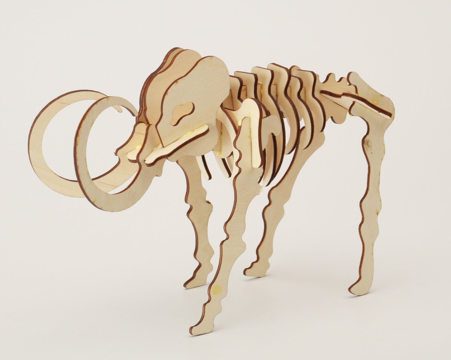 Laser Cut Puzzle Model - Mammoth Fossil