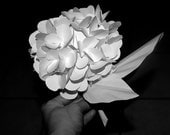 Unique Handcrafted Paper Hydrangea - Special order your color