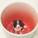 Border Collie Surprise Mug