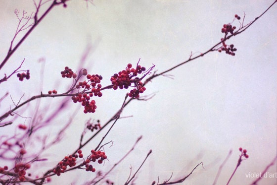 25% Off SALE Winter Photograph. nature fine art photo print. foggy mystical purple red violet vintage winter day. wall art decor