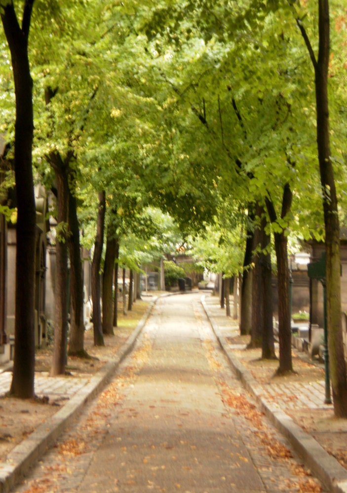 Photograph -- Paris - Autumn Path - Cimetiere du Pere Lachaise Art Photograph 20 x 15 cm / 8 x 6 in