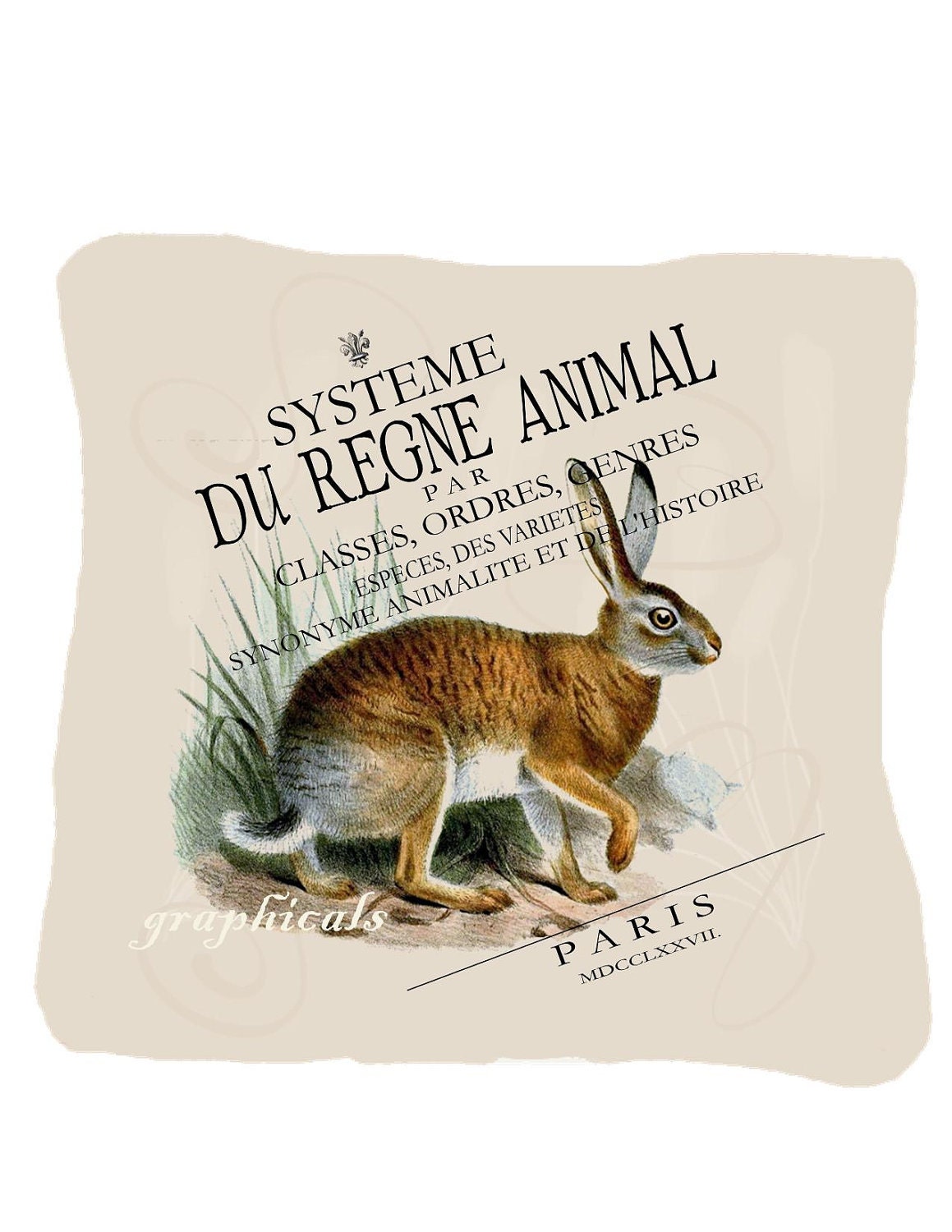 Antique rabbit French Paris ephemera Animals digital download image. Create a designer pillow, tote bags, cards No. C31