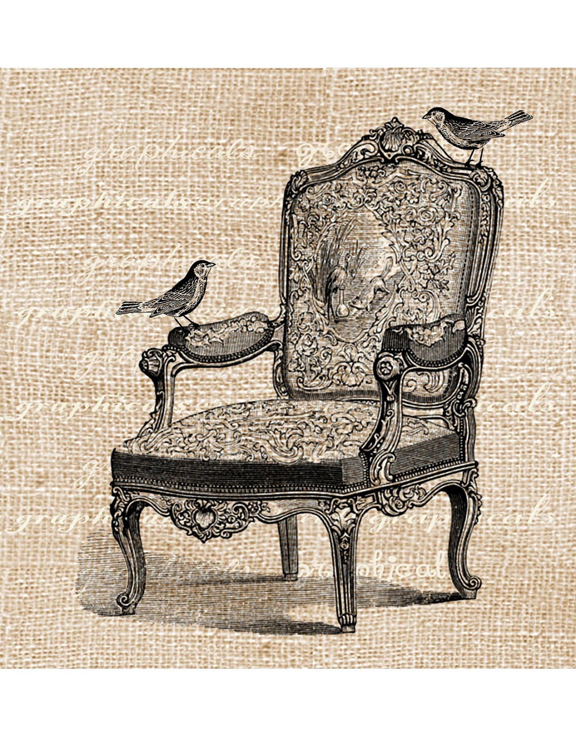 Ornate French Louis XVI chair Birds Digital download image  for transfer to fabric burlap tote bags pillows paper decoupage cards No. 628