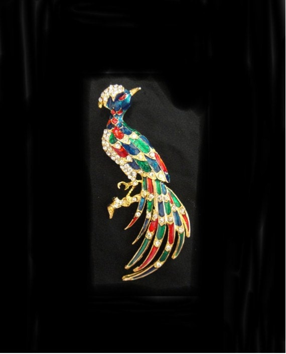 Exotic Bird Brooch - Vintage 1960s