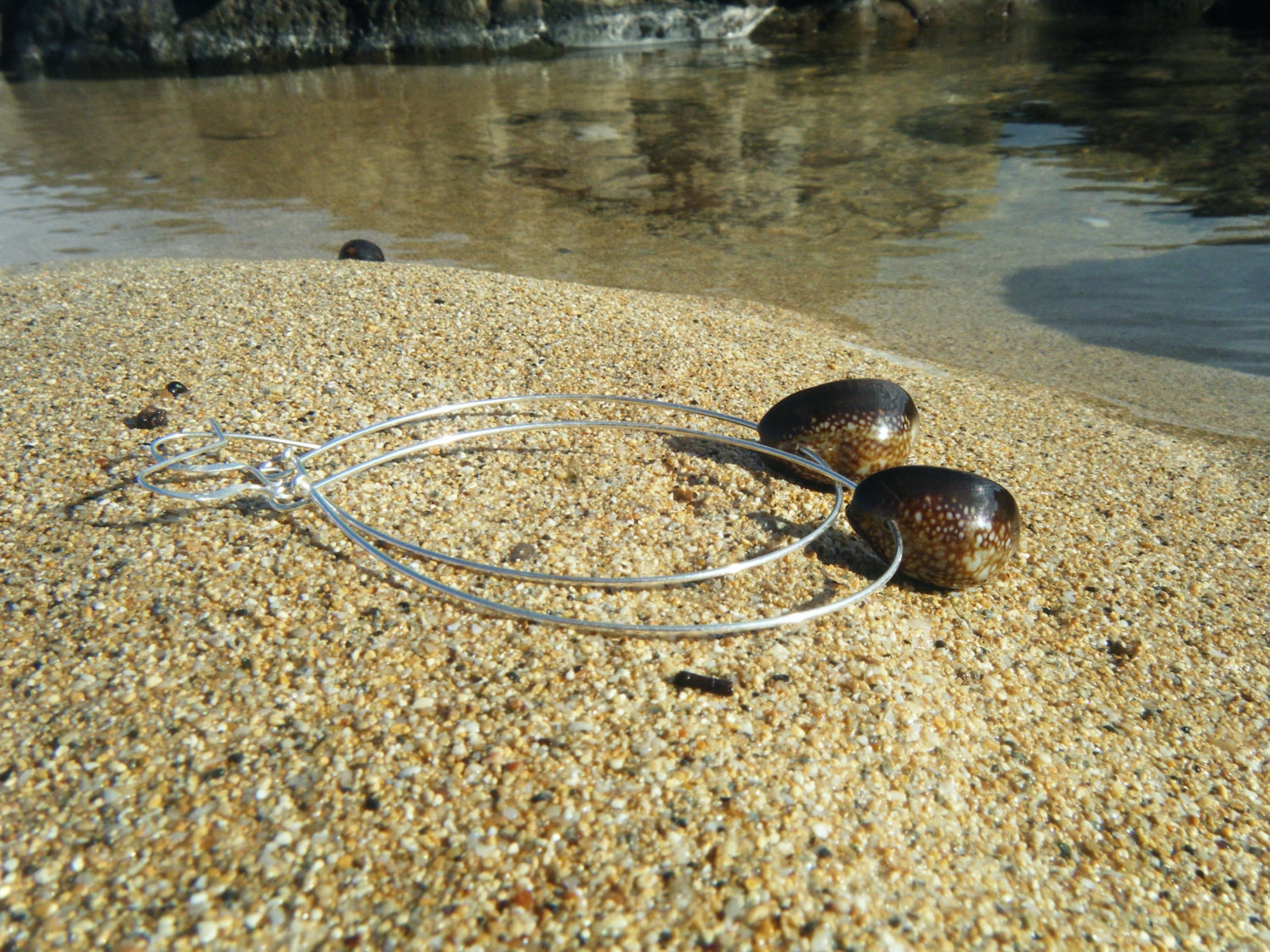 Sterling Silver Cowry Hoops