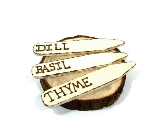 Garden Stakes or Herb Markers.  Set of three wood burned stakes.